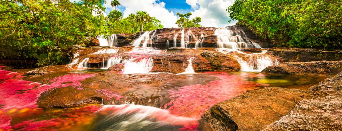 Cana Cristales in Colombia