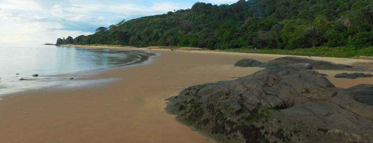 Gosselin Beach in Frans Guyana is een prachtig strand