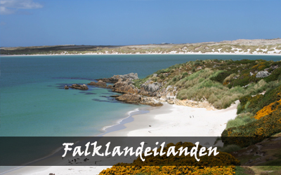 Backpacken Zuid-Amerika - Falklandeilanden