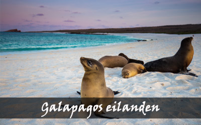 Backpacken Zuid-Amerika - Galapagos eilanden