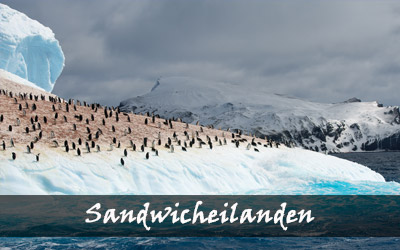 Backpacken Zuid-Amerika - Zuidelijke Sandwicheilanden