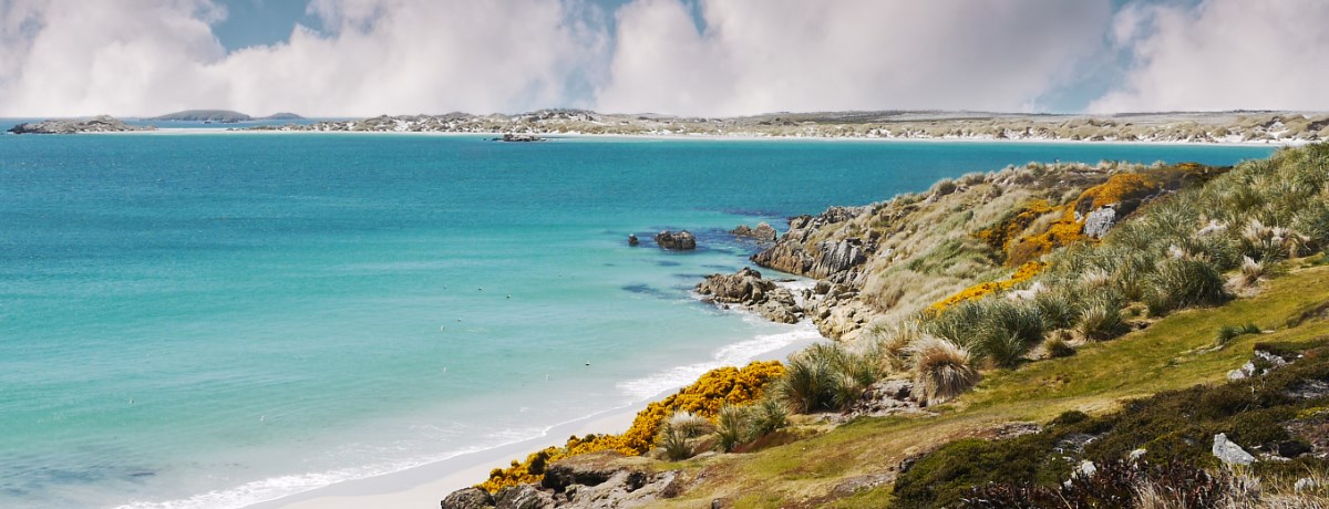 Kustlijn Falklandeilanden