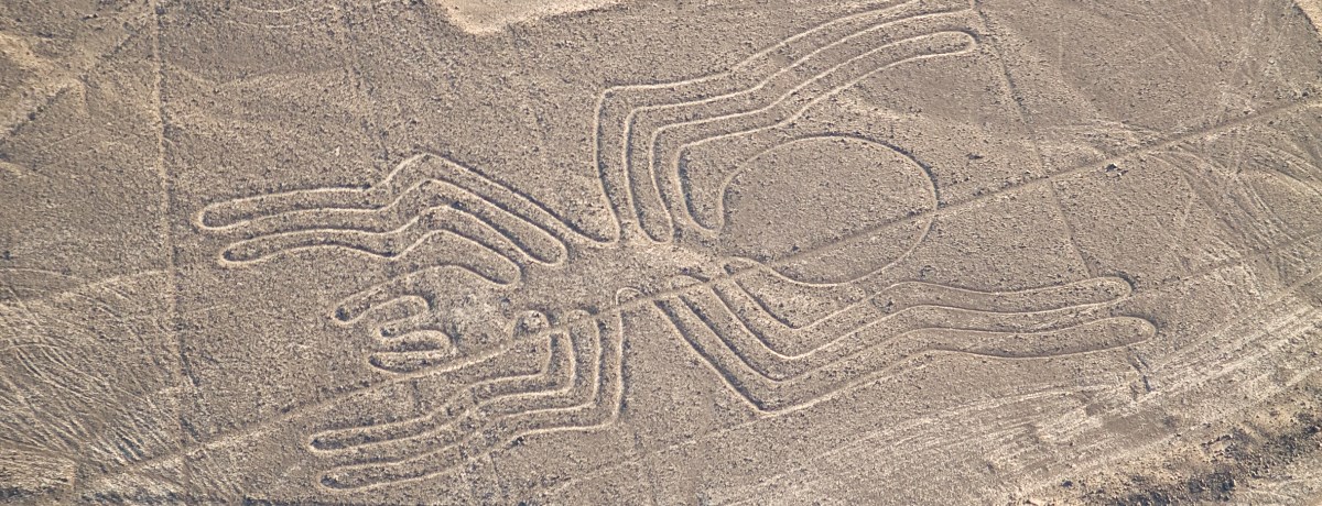 Nazca lijnen in de woestijn van Peru, de spin