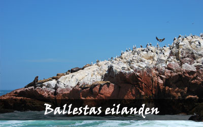 Backpacken Zuid-Amerika - Ballestas eilanden - Peru