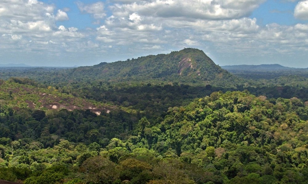 Bergen in Zuid-Amerika zijn groot, ruig en avontuurlijk. Ook het Wilhelminagebergte in Suriname