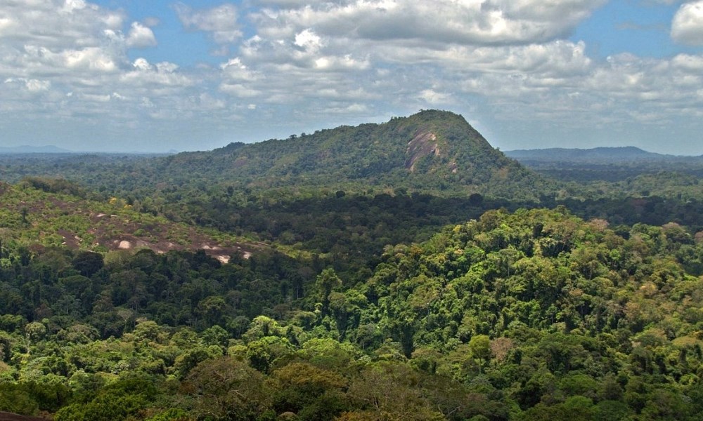 Wilhelminagebergte in Suriname